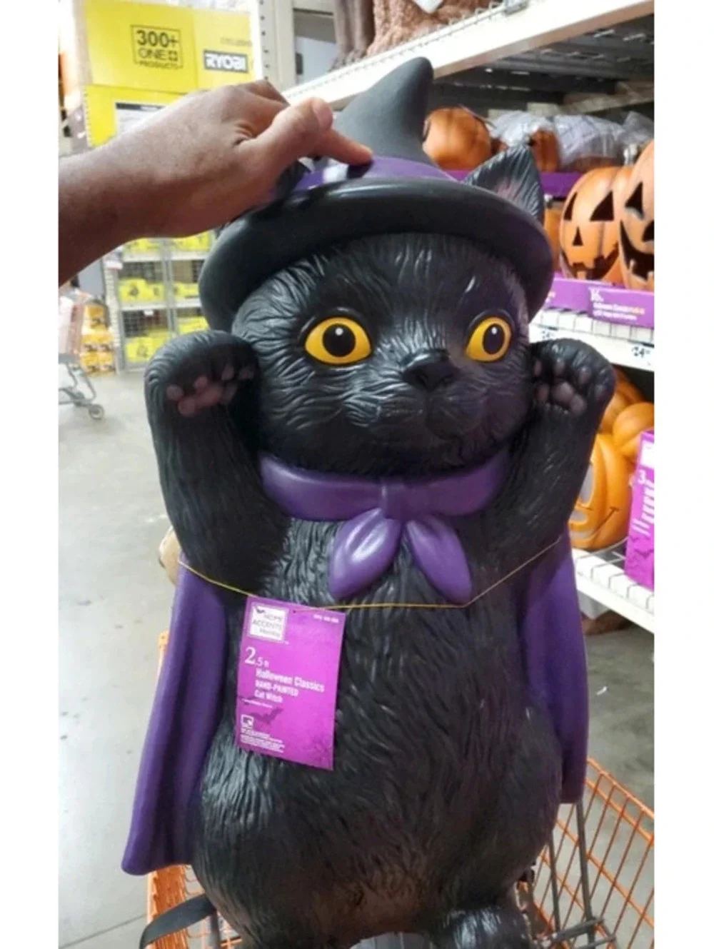 Home Accents Holiday 2.5 ft LED Witch Black Cat Halloween Decor Hand Painted